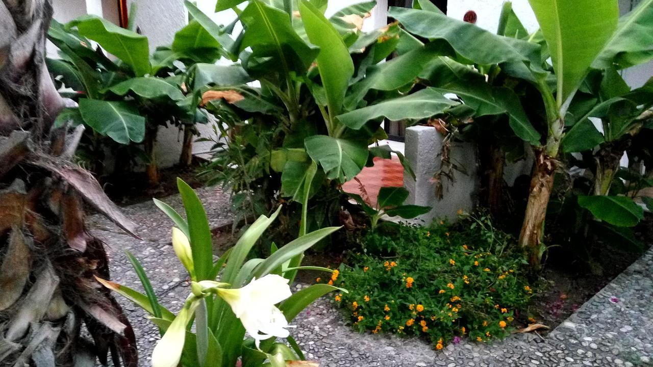 Oasis Hotel Bungalows Rhodes Afantou Ngoại thất bức ảnh